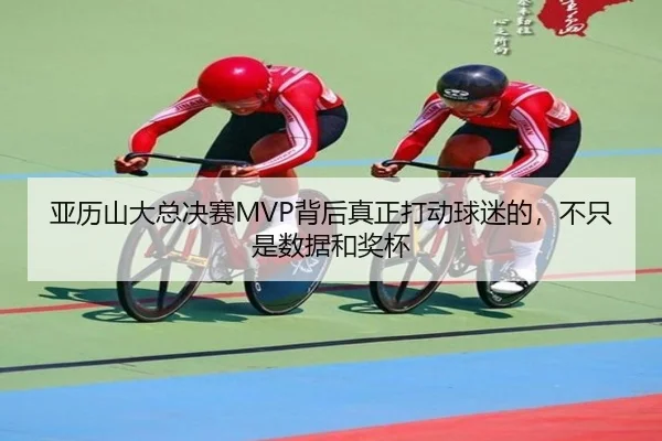 img_1781186161934_51_1_500.jpg